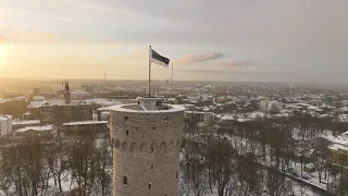 Pikk Hermann ja sinimustvalge lumesajus / Kaupo Kalda Video Stock