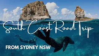 NSW South Coast Road Trip from Sydney