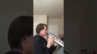Wellerman on a melodica
