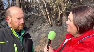 José María Pérez Rodríguez de Casa El Carrizo de Naraval (Tineo) / El Campo de Asturias