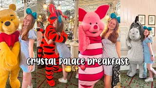 Crystal Palace character Breakfast | Epcot & Magic Kingdom Vlog | Loews Hotels at Universal Program
