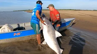 Después de tres años buscándolo, volvimos a encontrarnos con el rey de los rios, pez de 206 libras.