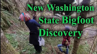 New Washington state Bigfoot discovery