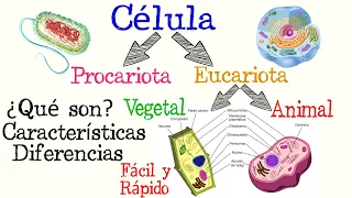 🌐Células Procariotas y Eucariotas🌿🐱  | [Fácil y Rápido] | BIOLOGÍA |