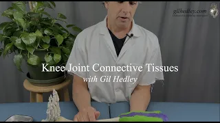 Anatomy of the Knee: Learn Integral Anatomy with Gil Hedley