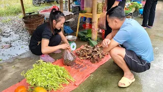 Gac Fruit Harvest & Papaya Flower, Snails Goes to the market to sell | Ly Thi Tam