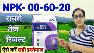 NPK 00-60-20 fertilizer | nova pekacid | npk fertilizer | npk 0-60-20 fertilizer uses | npk