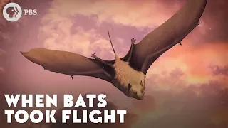 When Bats Took Flight