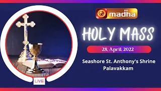 🔴 LIVE 28 April 2022 Holy Mass in Tamil 06:00 AM (Morning Mass) | Madha TV