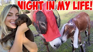 A Night in My Life with 40+ Pets! | My Horse Escaped, My Goats Attack My Husband | FARM VLOG!