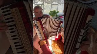 Weltmeister accordion, 4/4 accordion, 120 Bass, 41 keys, 3 voices, 5+3 registers, Germany accordion