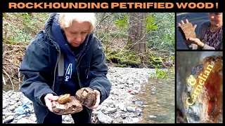 I Took My Mom #rockhounding For Petrified Wood , We Found Lots !! Se.7 Ep.7  By : Quest For Details
