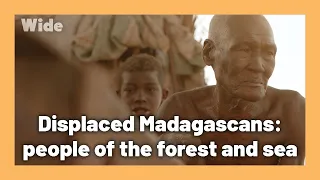 Madagascan forced out of the nature they call home | WIDE