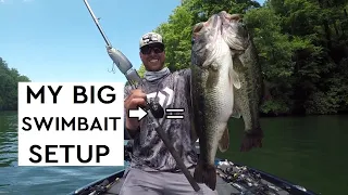 The *BEST* Swimbait COMBO! For Me...