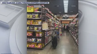 Bear spotted inside grocery store in Porter Ranch