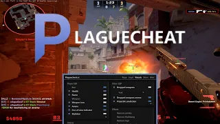 PLAGUECHEAT.CC HAS AMAZING VISUALS (CS2 CHEATING)