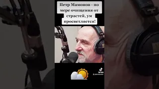 Петр Мамонов - по мере очищения от страстей, ум просветляется! #петрмамонов #мамонов #пётр