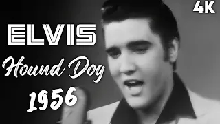 [4K] Elvis Presley – "Hound Dog" 1956 | Milton Berle Show