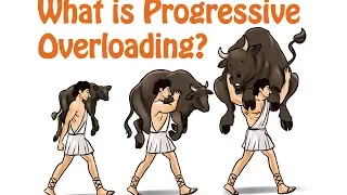 8. Progressive Overloading: Key to Continued Strength and Mass Gain