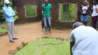 #snake #uganda