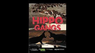 Гангстеры дикой природы / Gangland Killers Серия 1 Hippo Gangs / Бегемоты