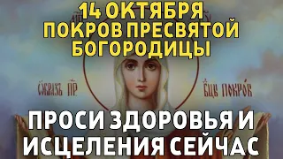 ВСЕГО 1 МИНУТА! ПРОСИТЕ У НЕЁ ЗДОРОВЬЯ И ИСЦЕЛЕНИЯ СЕЙЧАС! 14 ОКТЯБРЯ - Покров Пресвятой Богородицы