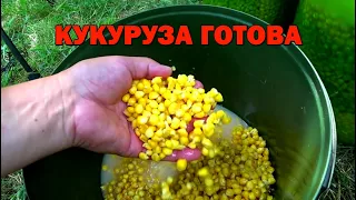 Ферментированная Кукуруза ГОТОВА. Способ Приготовления Кукурузы для РЫБАЛКИ ⚡ Fishing Video