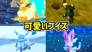 Newポケモンスナップに登場するブイズの可愛いシーン集