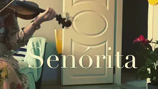 Senorita Violin Cover / Senorita Keman cover Shawn Mendes, Camila Cabello