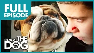 The Bully Bulldog: Pugsley | Full Episode | It's Me or The Dog