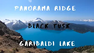 Trail Running Panorama Ridge Trail - Black Tusk - Garibaldi Lake