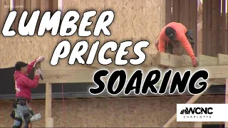 Why lumber prices are skyrocketing