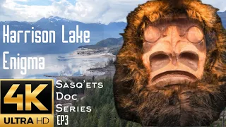 Best Sasquatch Documentary | Missing 411 | Bigfoot Harrison Lake Enigma