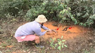 URGENTE!! ELES JÁ ESTAVAM TODOS NA BEIRA DA MORTE!! CHEGAMOS A TEMPO. pescaria.