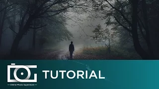 SONY ALPHA A6300 TUTORIAL | Shoot Night Hand-Held Shots