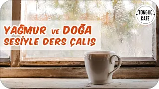 Yağmur ve Doğa Sesleriyle Ders Çalış | Rahatlatıcı ve Odaklanma Artırıcı |  3 Pomodoro