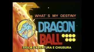 Sigla d'apertura e chiusura Dragon Ball Z | What's my destiny Dragon Ball