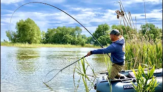 Рижі САЗАНИ зайшли в ОЧЕРЕТ МАССОВО!!!