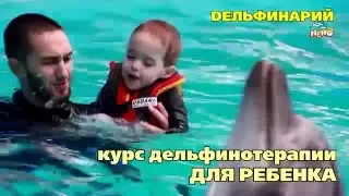 Дельфинотерапия в Алматы