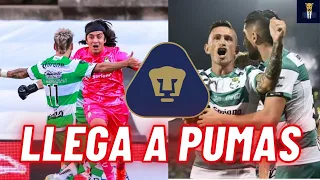 🤬1er REFUERZO🤬EXFUTBOLISTA DE SANTOS Y ACTUALMENTE NO TIENE CLUB. SE CONVERTIRÁ EN REFUERZO DE PUMAS