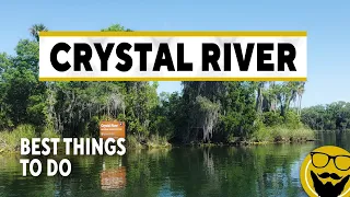 Best Things to See & Do in Crystal River 2022 // How to Swim With Manatees Guide