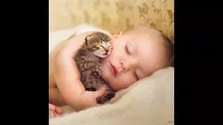 Cats And Babies Are Best Friends – Cute Baby & Cat || Funny TV