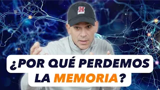 ¿Por qué perdemos la memoria?