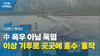 中 폭우 아님 폭염...이상 기후로 곳곳에 홍수·흉작 / YTN 사이언스