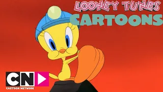 La miniera | Looney Tunes Cartoons | Cartoon Network Italia