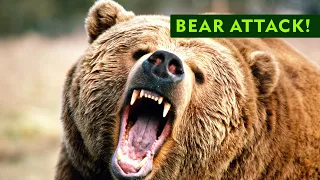 Gene Moe: Bear Attack! | Man vs Bear [16+]