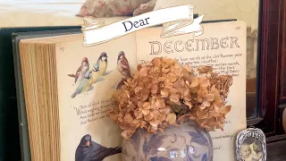 dear december :: silent vlog :: vlogmas :: advent :: slow holidays :: seasonal living