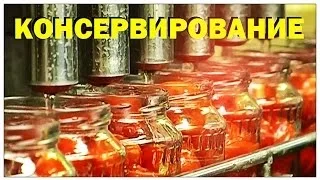 Галилео. Консервирование