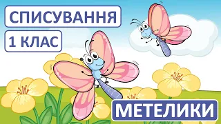 Списування | 1 клас | Текст "Метелики" | Українська мова