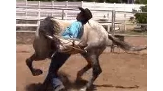 Defensive Aggression Behavior With Abused Horse   Mike Hughes, Auburn California